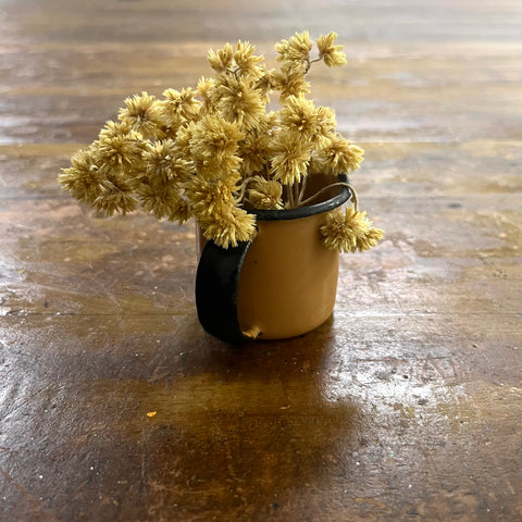 Caneca Esmaltada - Viva Terra