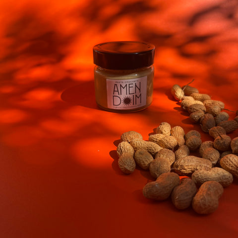 Pasta de Amendoim Crocante - Viva Terra
