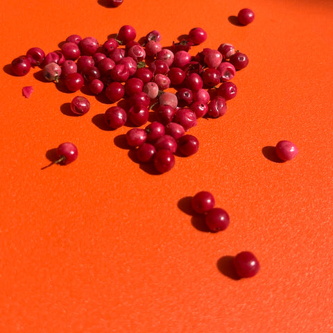 Pimenta Rosa - Viva Terra