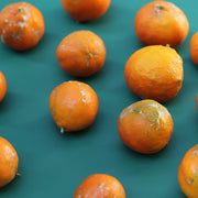 Limão Cravo - Viva Terra